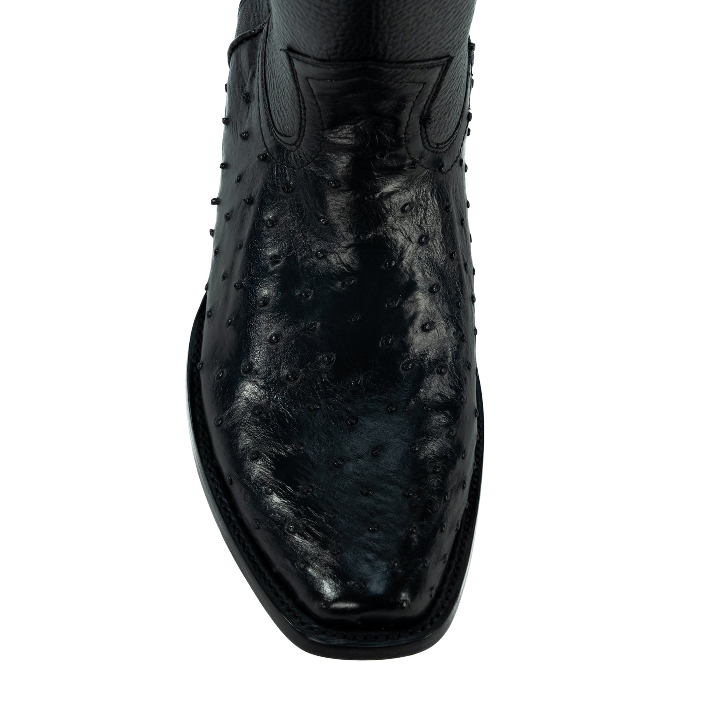 DYLAN AVESTRUZ NEGRO