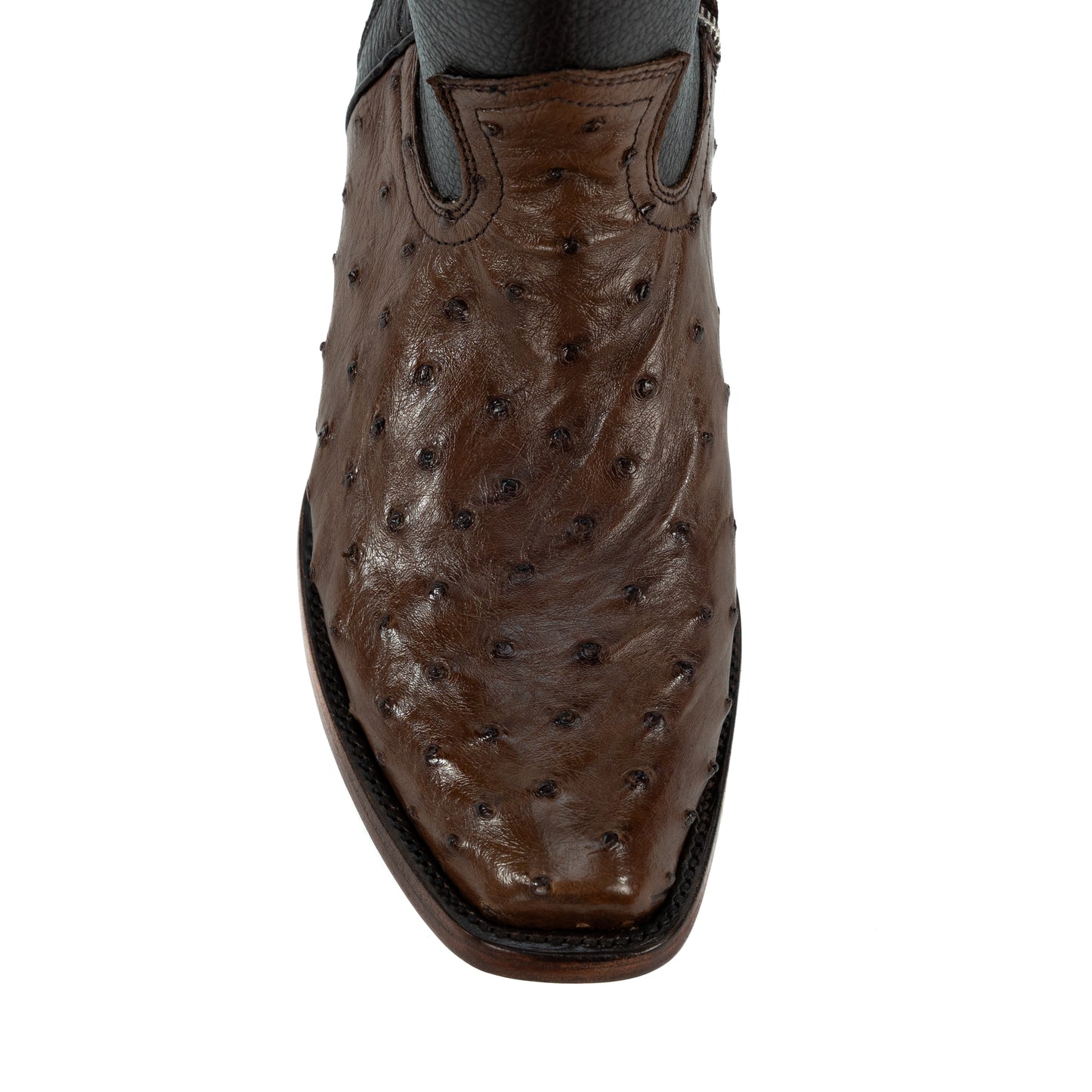 DYLAN AVESTRUZ TABACO