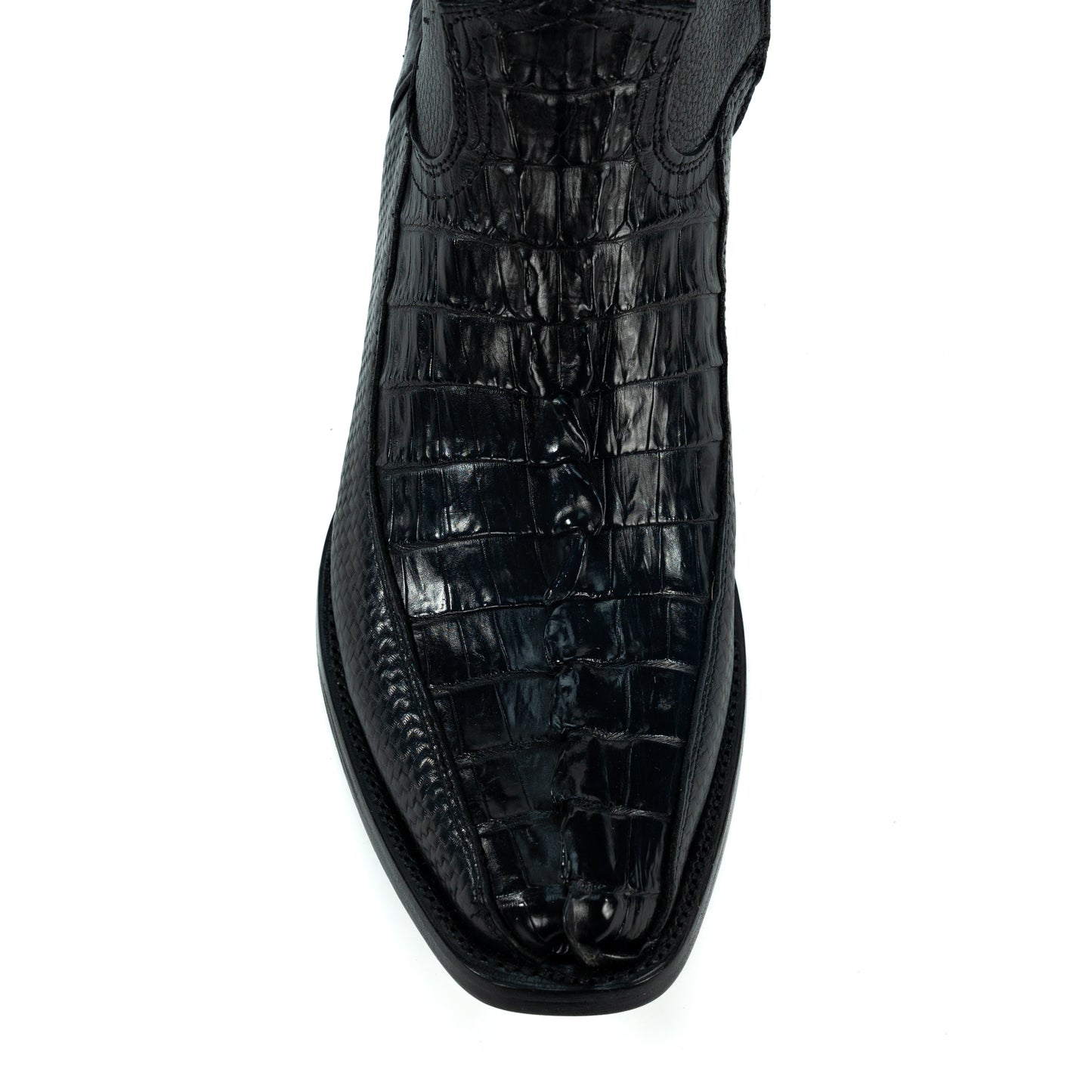 Orión Cocodrilo Cola Belly Negro