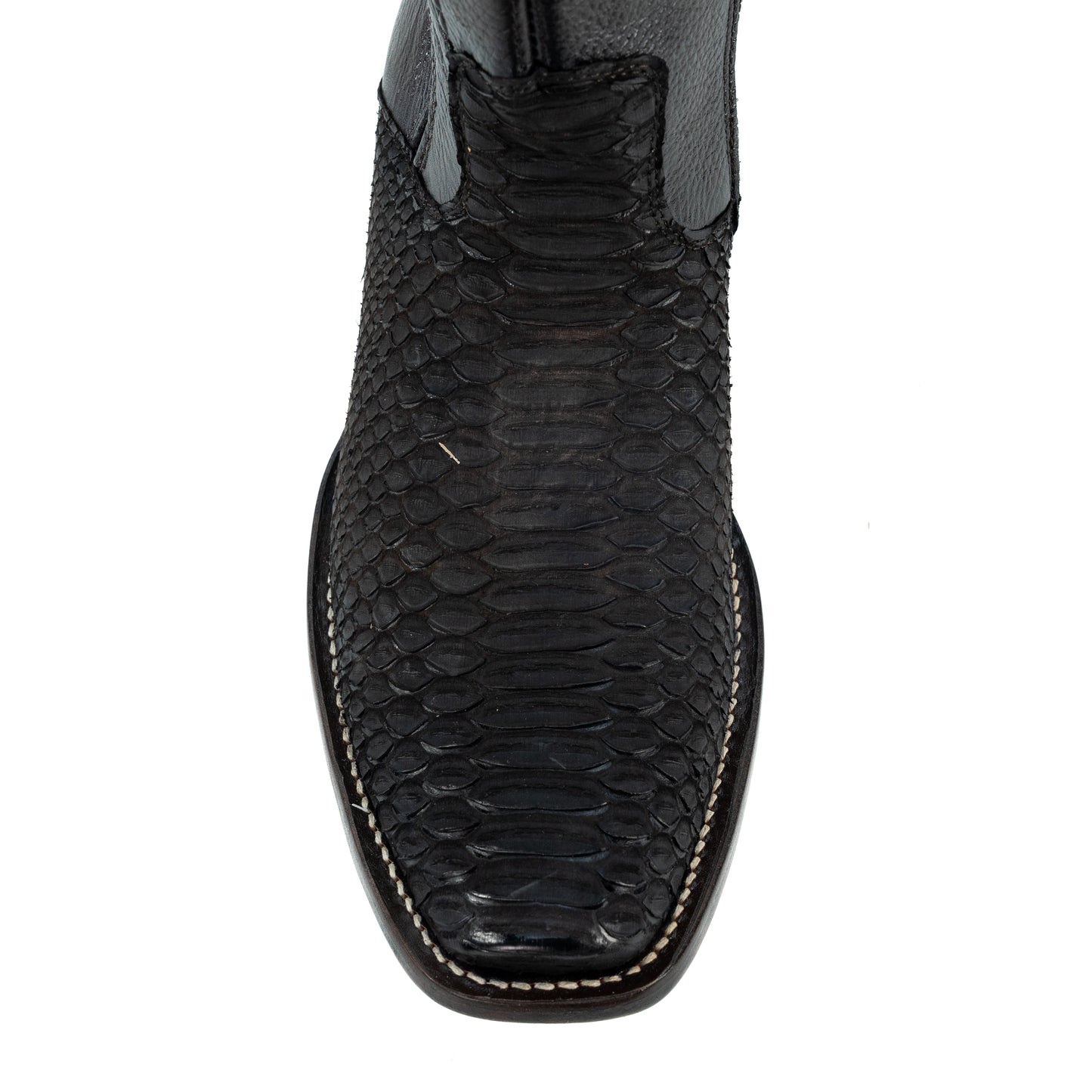 GALAXY PYTHON TABACO