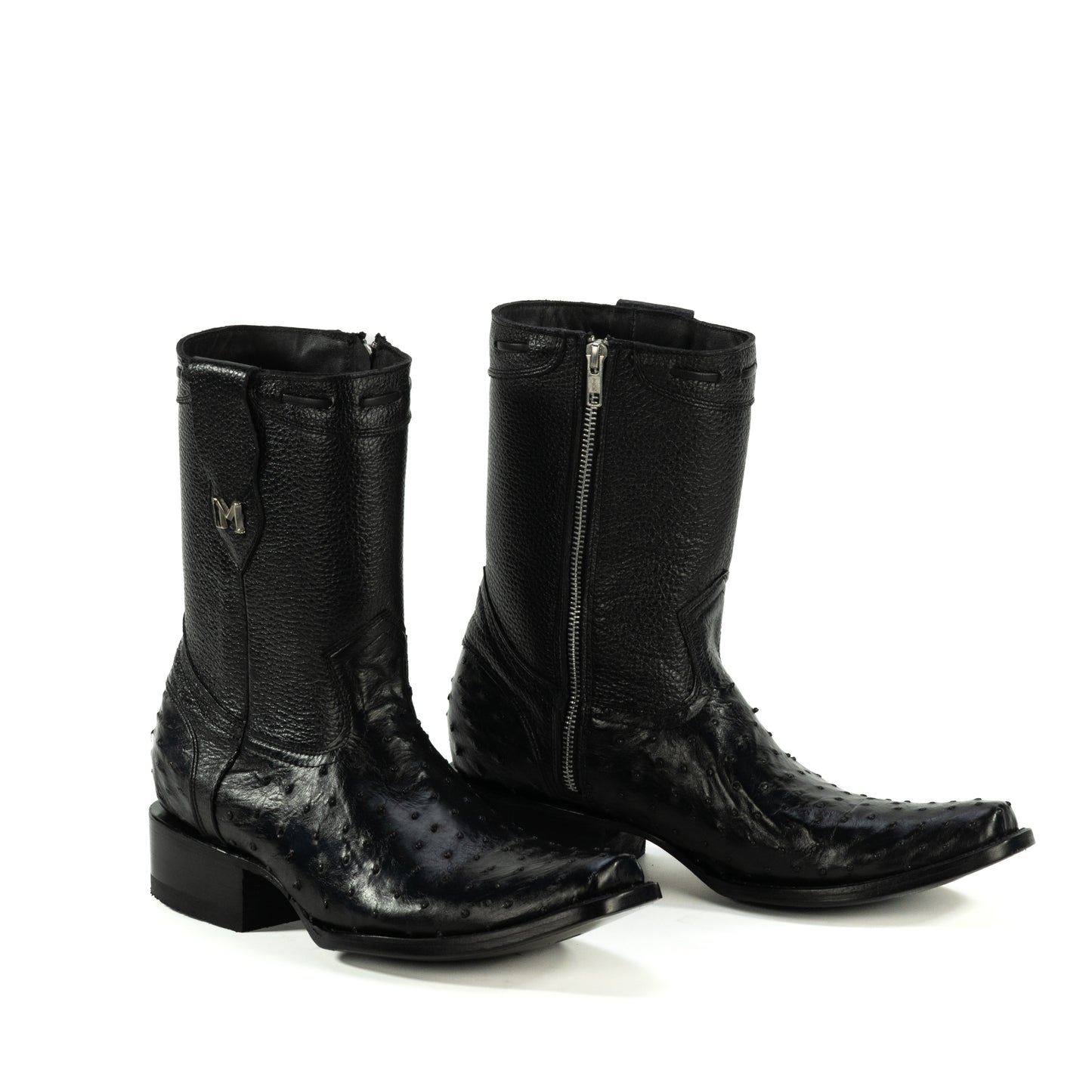 Dylan Avestruz Negro