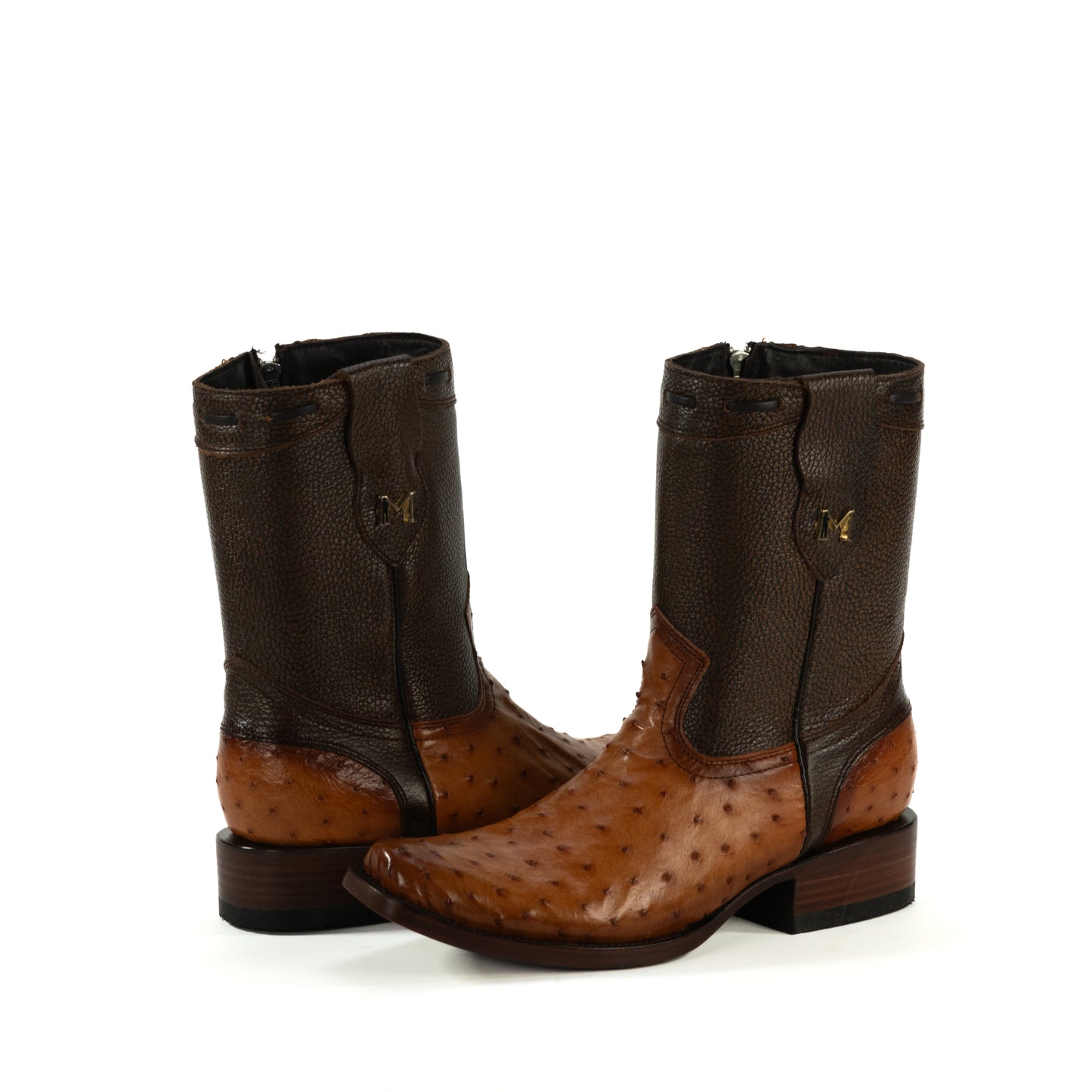 DYLAN AVESTRUZ COÑAC